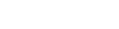 情人节限定皮肤 - 纪录者平台标识